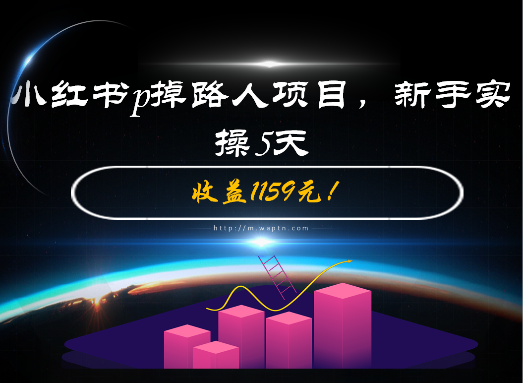 小红书p掉路人项目,新手实操5天-腾哥精选