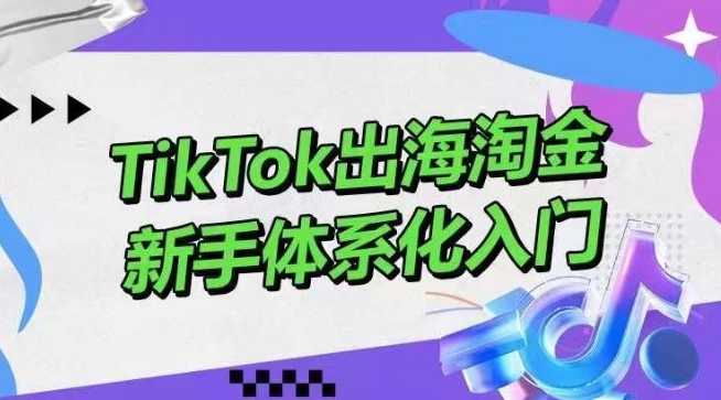 TikTok出海淘金，新手体系化入门，零基础快速入门，掌握短视频、直播带货等引流到变现的知识-腾哥精选