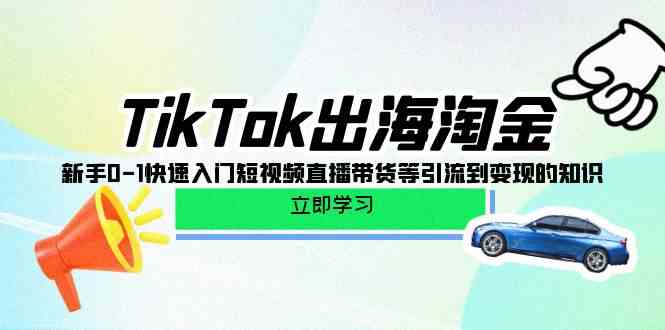 （10035期）TikTok-出海淘金，新手0-1快速入门短视频直播带货等引流到变现的知识-腾哥精选