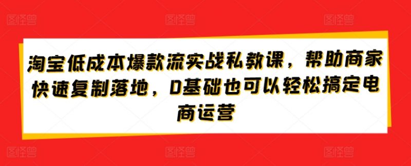 淘宝低成本爆款流实战私教课，帮助商家快速复制落地，0基础也可以轻松搞定电商运营-腾哥精选