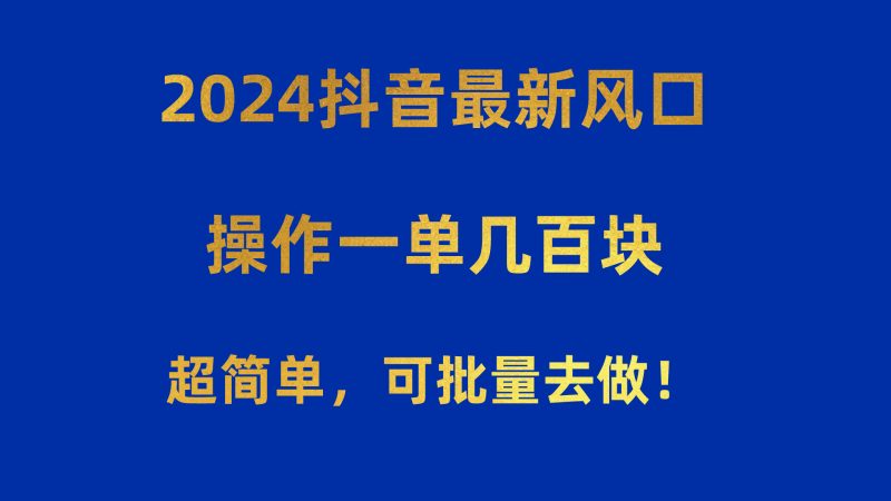（10413期）2024抖音最新风口！操作一单几百块！超简单，可批量去做！！！-腾哥精选