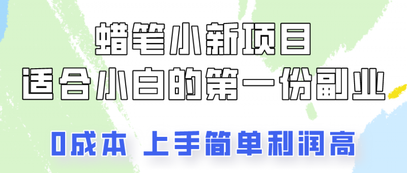 蜡笔小新项目拆解，0投入，0成本，小白一个月也能多赚3000+-腾哥精选