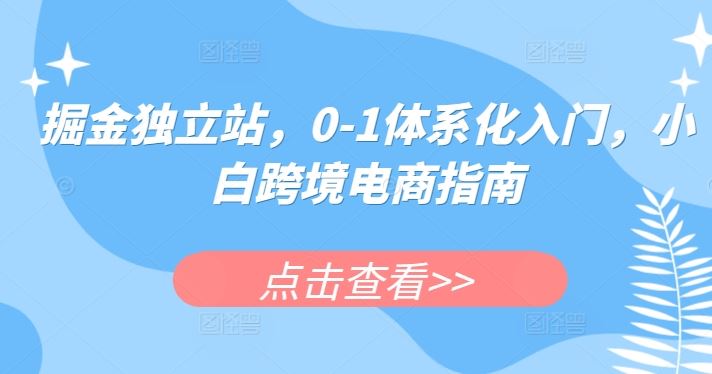 掘金独立站,0-1体系化入门,小白跨境电商指南-腾哥精选