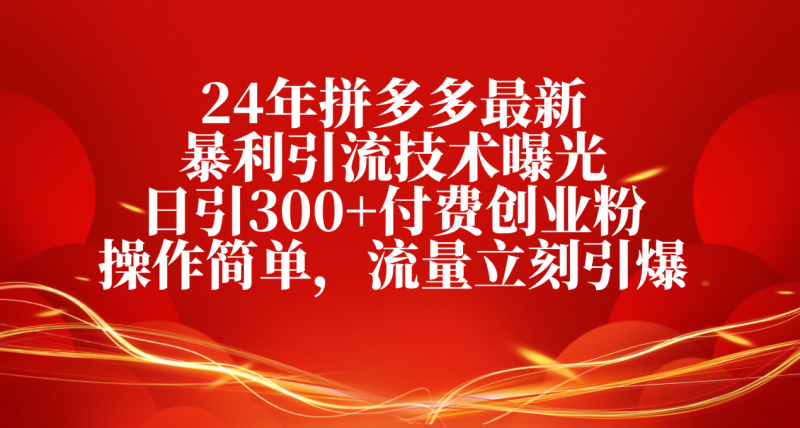 (10559期)24年拼多多最新暴利引流技术曝光,日引300+付费创业粉,操作简单,流量…-腾哥精选