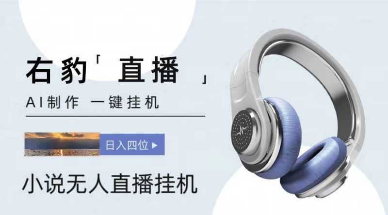 右豹小说无人直播挂机吸金项目，简单易行收益稳定， 月入1000+-腾哥精选