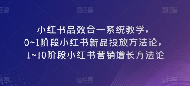 小红书品效合一系统教学,?0~1阶段小红书新品投放方法论,?1~10阶段小红书营销增长方法论-腾哥精选