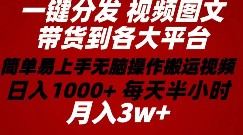 （10667期）2024年 一键分发带货图文视频 简单易上手 无脑赚收益 每天半小时日入1…-腾哥精选
