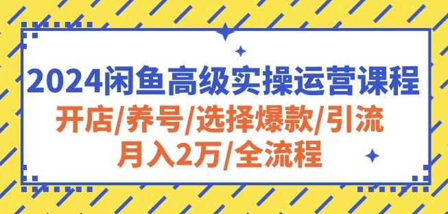 2024闲鱼高级实操运营课程：开店/养号/选择爆款/引流/月入2万/全流程-腾哥精选