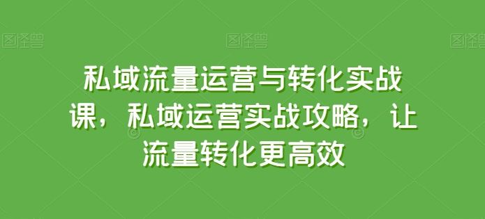 私域流量运营与转化实战课，私域运营实战攻略，让流量转化更高效-腾哥精选