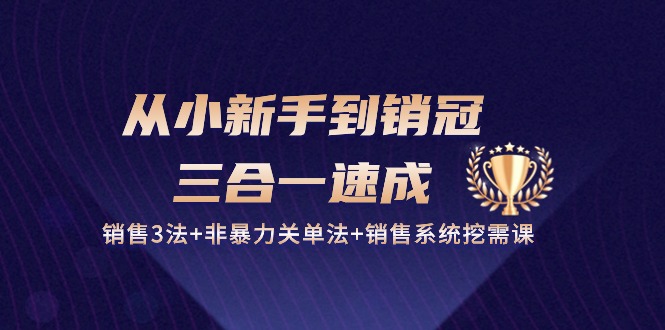 （10799期）从小新手到销冠 三合一速成：销售3法+非暴力关单法+销售系统挖需课 (27节)-腾哥精选