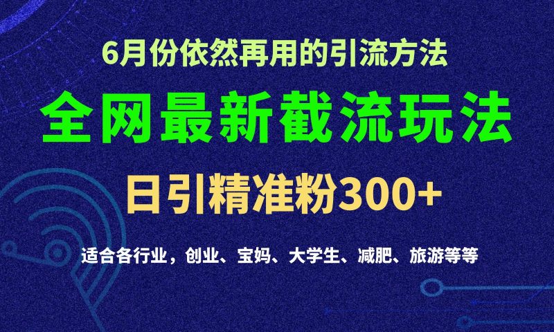 2024全网最新截留玩法,每日引流突破300+-腾哥精选