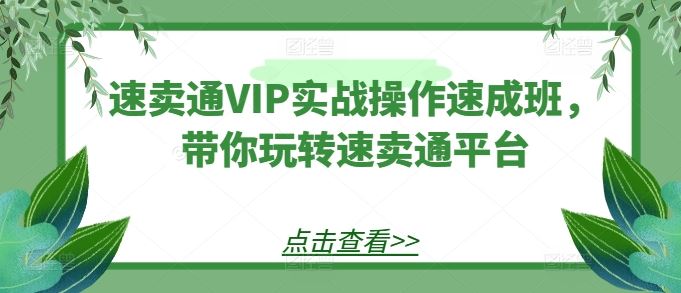 速卖通VIP实战操作速成班,带你玩转速卖通平台-腾哥精选