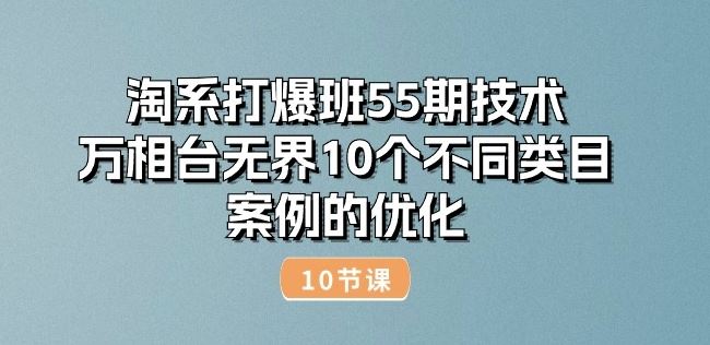 淘系打爆班55期技术:万相台无界10个不同类目案例的优化(10节)-腾哥精选
