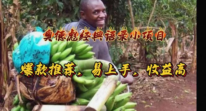 （11030期）奥德彪经典语录小项目，爆款推荐，易上手，收益高-腾哥精选