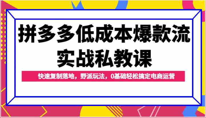 拼多多低成本爆款流实战私教课，快速复制落地，野派玩法，0基础轻松搞定电商运营-腾哥精选