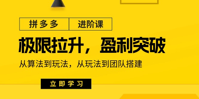 （11435期）拼多多·进阶课：极限拉升/盈利突破：从算法到玩法 从玩法到团队搭建-18节-腾哥精选