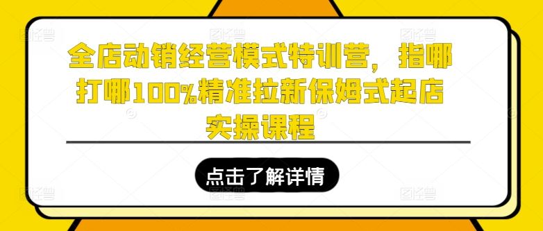全店动销经营模式特训营,指哪打哪100%精准拉新保姆式起店实操课程-腾哥精选