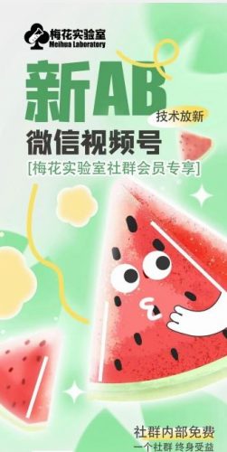 梅花实验室2024年AB技术视频号AB合成破解版-腾哥精选