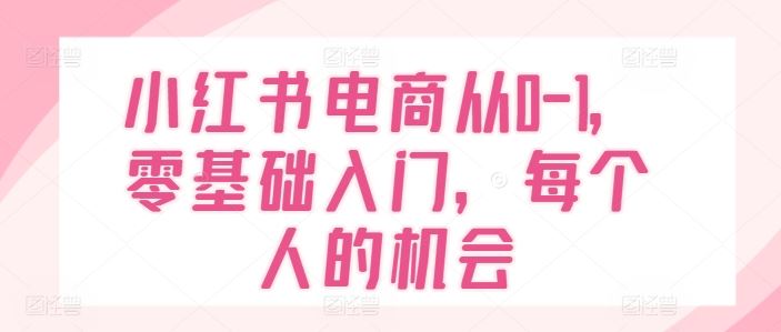 小红书电商从0-1,零基础入门,每个人的机会-腾哥精选