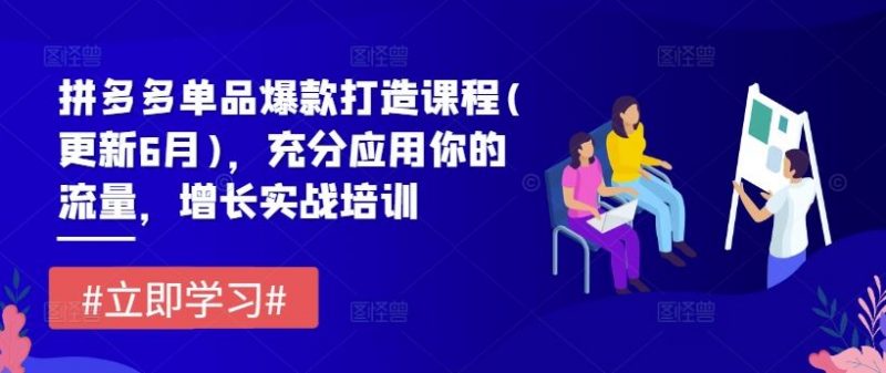 拼多多单品爆款打造课程(更新6月)，充分应用你的流量，增长实战培训-腾哥精选