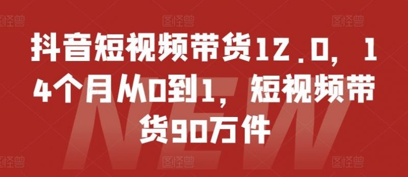 抖音短视频带货12.0,14个月从0到1,短视频带货90万件-腾哥精选
