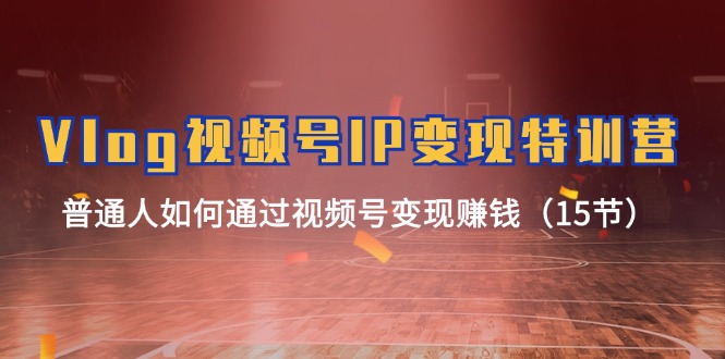 Vlog视频号IP变现特训营,普通人如何通过视频号变现赚钱(15节)-腾哥精选