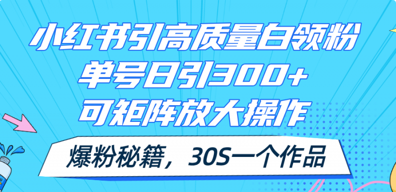 （11692期）小红书引高质量白领粉，单号日引300+，可放大操作，爆粉秘籍！30s一个作品-腾哥精选