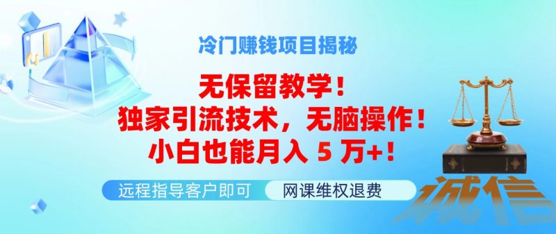 （11864期）冷门赚钱项目无保留教学！独家引流技术，无脑操作！小白也能月入5万+！-腾哥精选