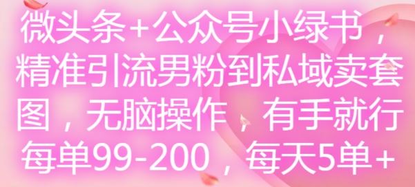 微头条+公众号小绿书,精准引流男粉到私域卖套图,无脑操作,有手就行,每单99-200,每天5单-腾哥精选