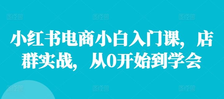 小红书电商小白入门课，店群实战，从0开始到学会-腾哥精选
