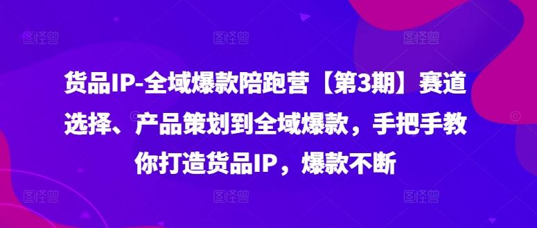 货品IP全域爆款陪跑营【第3期】赛道选择、产品策划到全域爆款，手把手教你打造货品IP，爆款不断-腾哥精选