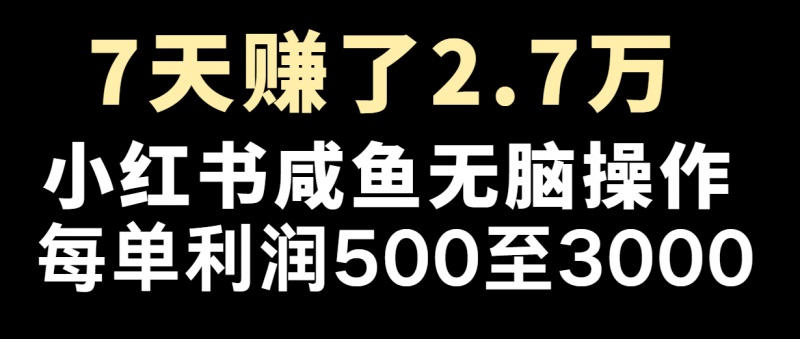 七天赚了2.7万！每单利润最少500+，轻松月入5万+小白有手就行-腾哥精选