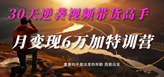 30天逆袭视频带货高手,单月变现6万加特训营-麦子甜-腾哥精选