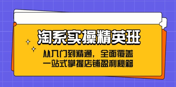 (12276期)淘系实操精英班:从入门到精通,全面覆盖,一站式掌握店铺盈利秘籍-腾哥精选