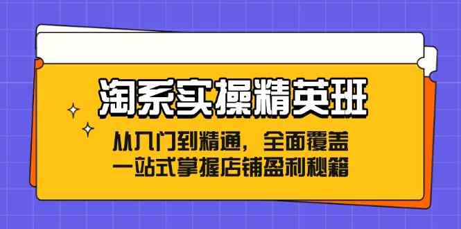 淘系实操精英班:从入门到精通,全面覆盖,一站式掌握店铺盈利秘籍-腾哥精选