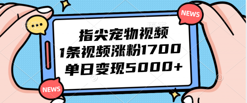 （12549期）指尖宠物视频，1条视频涨粉1700，单日变现5000+-腾哥精选