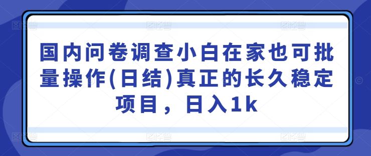 国内问卷调查小白在家也可批量操作(日结)真正的长久稳定项目，日入1k【揭秘】-腾哥精选