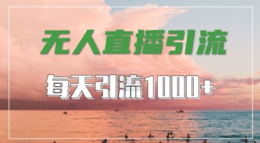 抖音快手视频号全平台通用，无人直播引流法，超暴力引流1000+高质量精准创业粉【揭秘】-腾哥精选