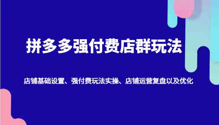 拼多多强付费店群玩法:店铺基础设置、强付费玩法实操、店铺运营复盘以及优化-腾哥精选