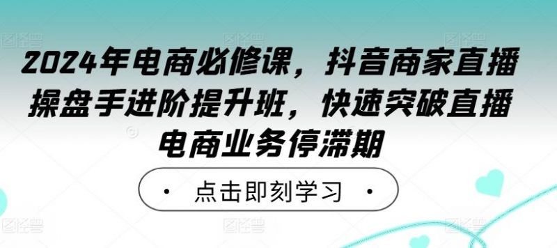 2024年电商必修课，抖音商家直播操盘手进阶提升班，快速突破直播电商业务停滞期-腾哥精选