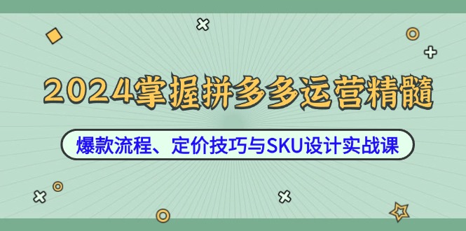 （12703期）2024掌握拼多多运营精髓：爆款流程、定价技巧与SKU设计实战课-腾哥精选
