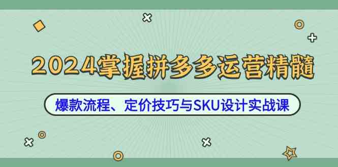 2024掌握拼多多运营精髓:爆款流程、定价技巧与SKU设计实战课-腾哥精选
