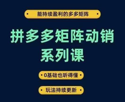 拼多多矩阵动销系列课,能持续盈利的多多矩阵,0基础也听得懂,玩法持续更新-腾哥精选