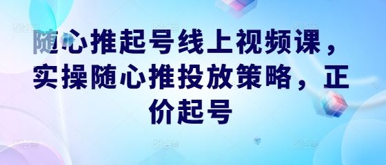 随心推起号线上视频课,实操随心推投放策略,正价起号-腾哥精选