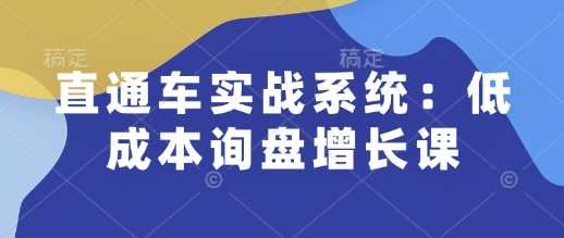 直通车实战系统：低成本询盘增长课，让个人通过技能实现升职加薪，让企业低成本获客，订单源源不断-腾哥精选