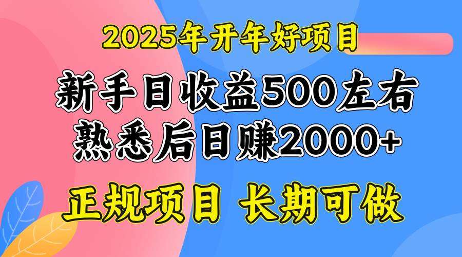 （14076期）2025开年好项目，单号日收益2000左右-腾哥精选