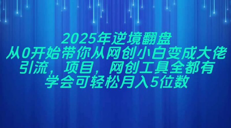 （14473期）2025年逆境翻盘，从0开始带你从网创小白变成大佬，引流，项目，网创工…-腾哥精选
