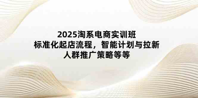 2025淘系电商实训班:标准化起店流程,智能计划与拉新,人群推广策略等等-腾哥精选