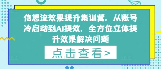 信息流效果提升集训营，从账号冷启动到AI提效，全方位立体提升效果解决问题-腾哥精选