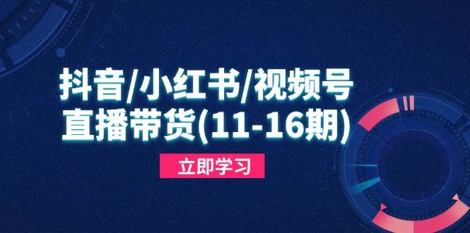 （14611期）抖音/小红书/视频号/直播带货(11-16期)，快速掌握平台规则，打造爆款内容-腾哥精选